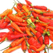 

Cabai rawit merah kecil pedas