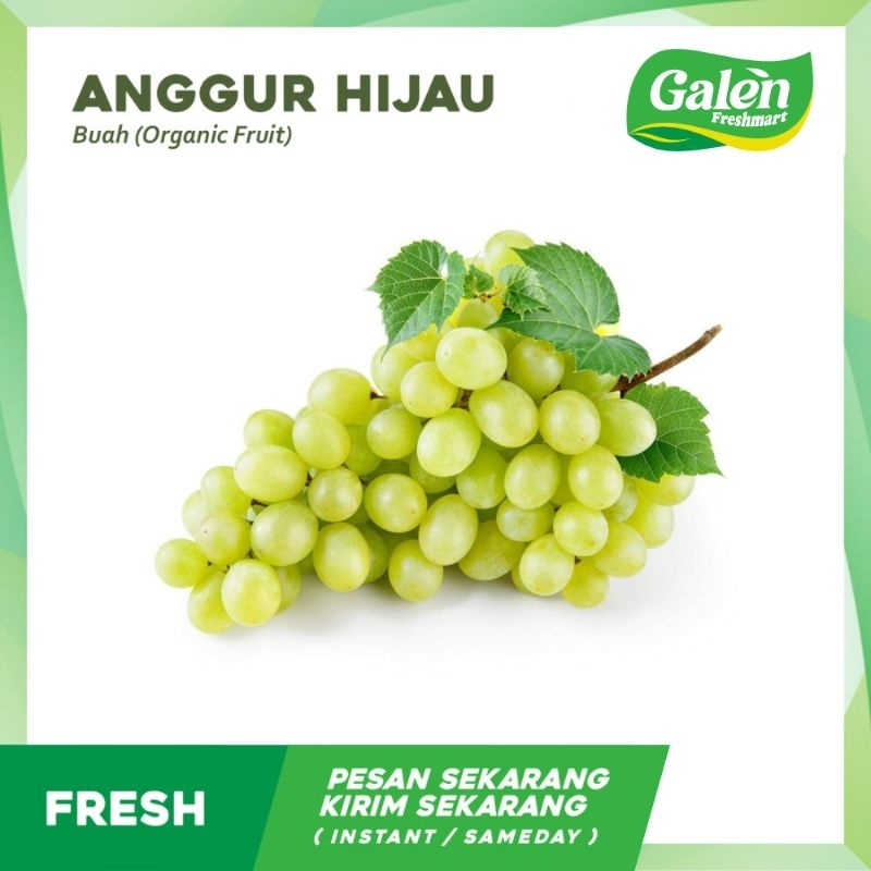 

Anggur Hijau ( 500gr )