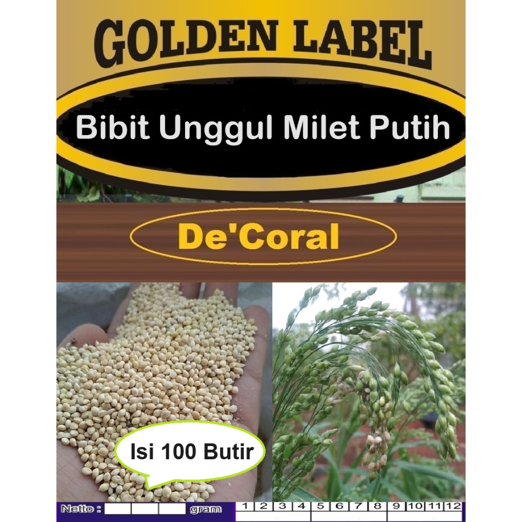 Bibit Unggul Milet Putih|Biji Benih Milet Putih|Biji Bibit Tanaman Milet Putih