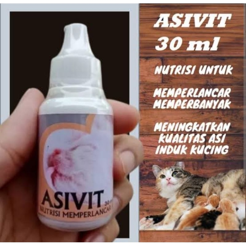 Asivit membantu melancarkan asi induk kucing.