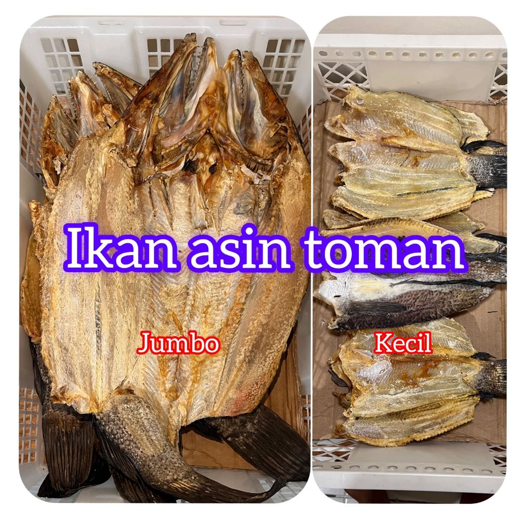 

Ikan Asin Toman Berat 100 gram Gurih dan Renyah Ikan Kwalitas - Premium Terbaik