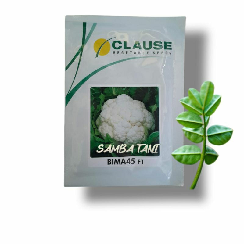 Benih kembang kol. Bima 45 F1 10 gram