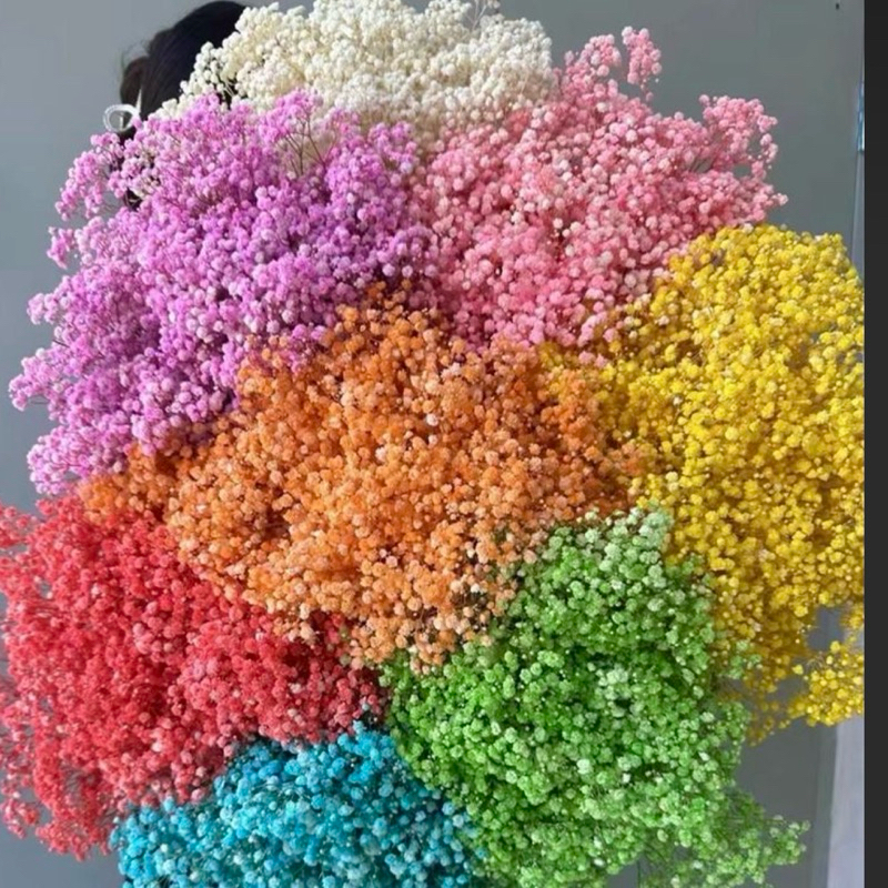 50 gr Preserved Baby Breath / Dried Baby Breath/ Dried Flower Baby Breath/ Bunga Kering Baby Breath