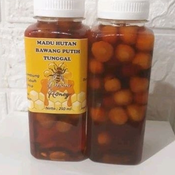 

madu bawang putih tunggal lanang 350 gram