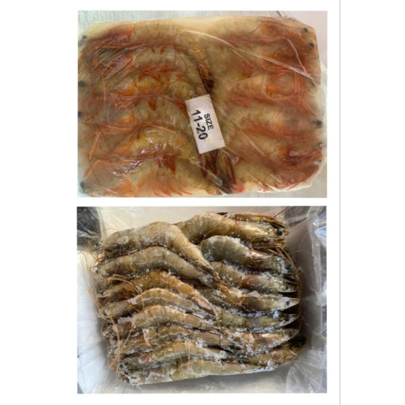 

udang jumbo/udang super/udang premium per-2kg size 11-20