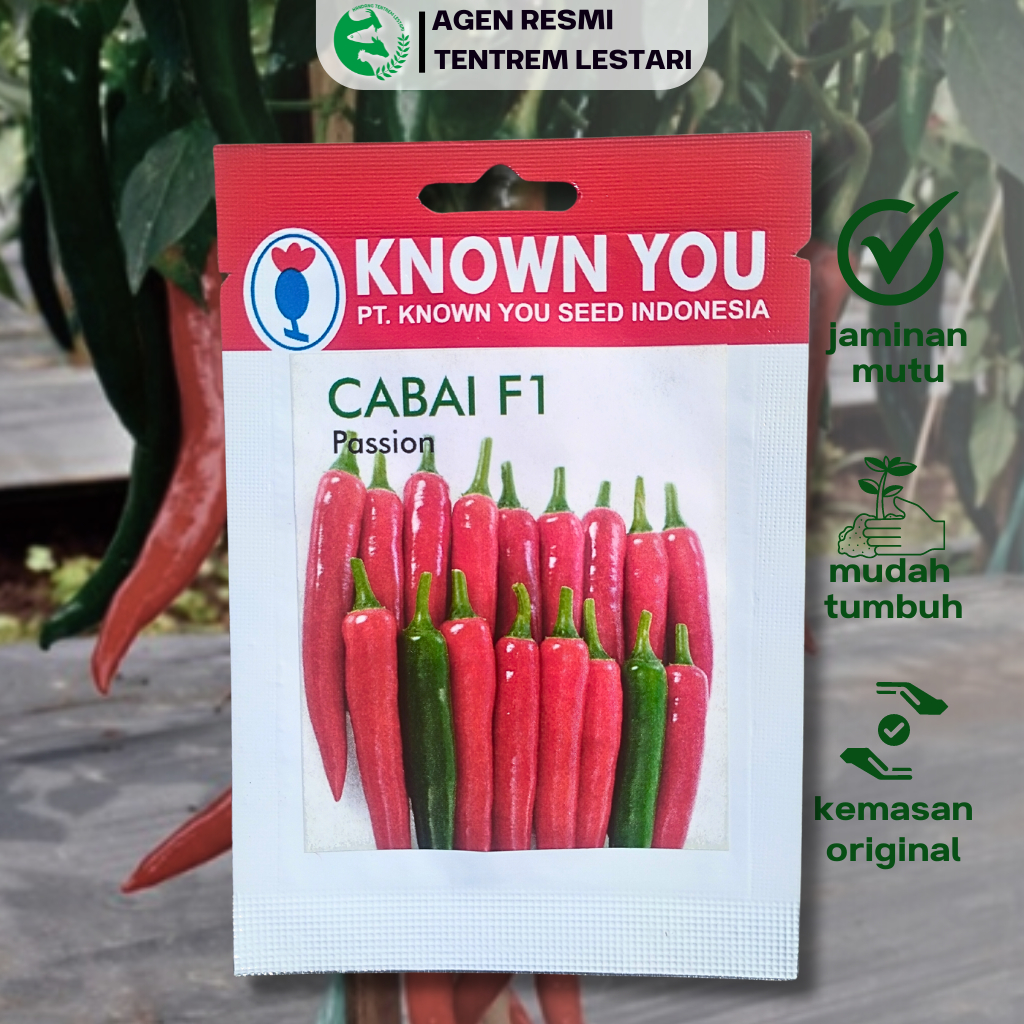 Benih Cabe Besar F1 PASSION 25 BIJI Known You Seed