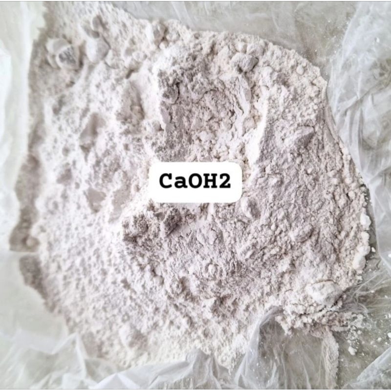 Kapur  Hydrated Lime 1 Kg - Bahan Penting Industri Konstruksi & Pertanian - Best Seller