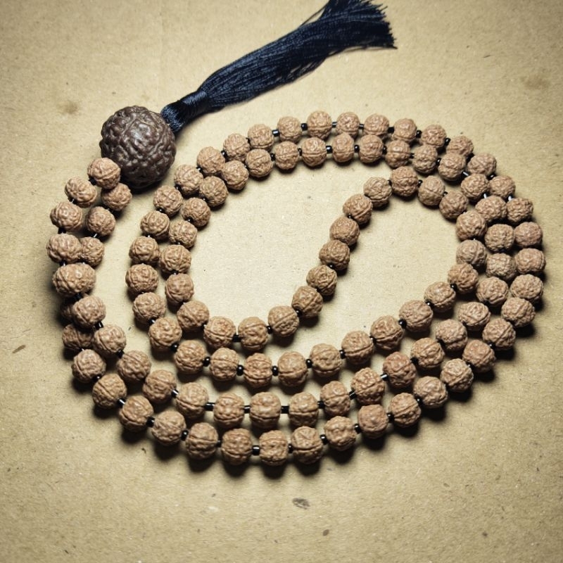 JENITRI RUDRAKSHA MUKHI 5 SIZE 6-8 MM ORIGINAL