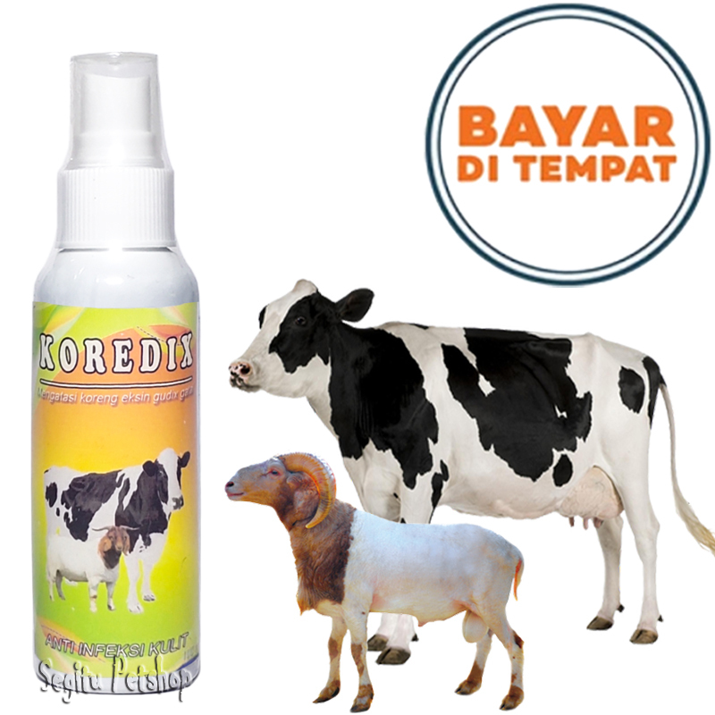 OBAT SAPI KAMBING KOREDIX SPREY HERBAL PENGHILANG KORENG BOROK ANTI JAMUR