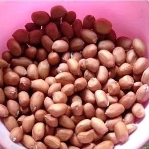 

kacang tanah fress 1kg