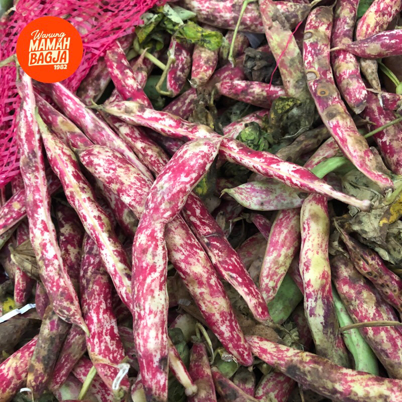 

KACANG ENDUL PLUS KULIT NYA 1kg fresh