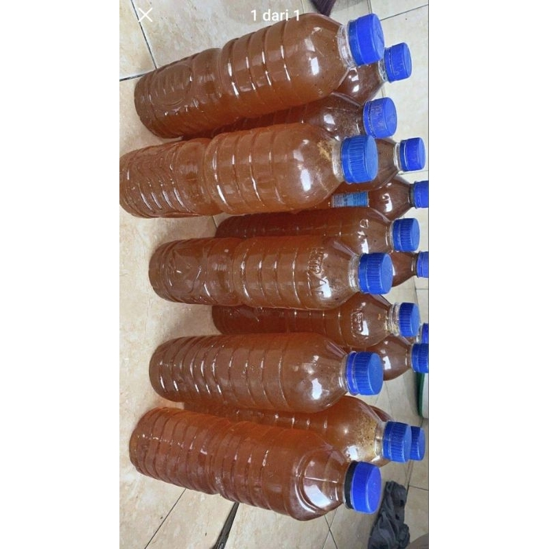 

MADU HUTAN 100% MURNI DARI ALAM HUTAN SUMBAWA