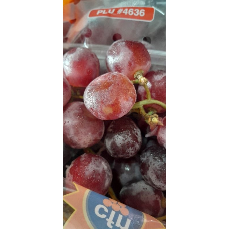 

Anggur Redglobe 1 kg