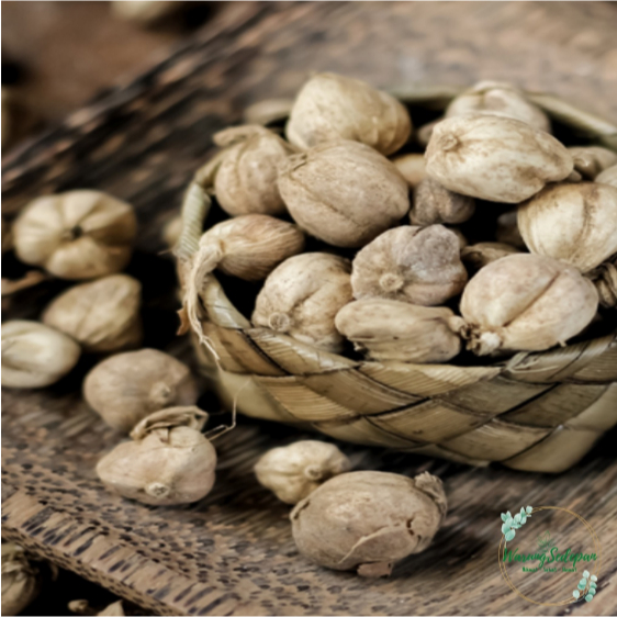 

Kapulaga per bungkus Kapolaga Bumbu Rempah Bumbu Dapur