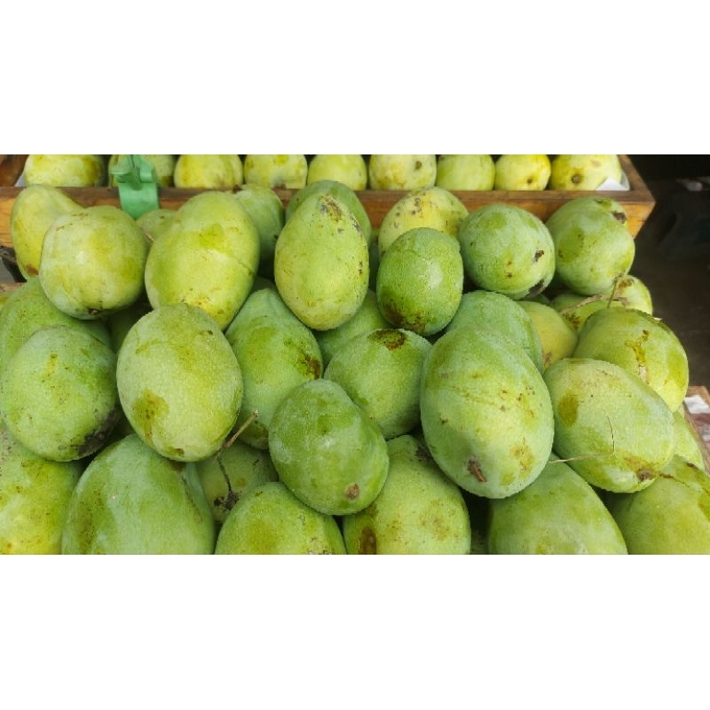 

Mangga Madu Jepara grade B