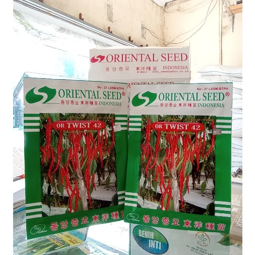 BENIH CABAI OR-42 ,benih cabai keriting CMK OR TWIST 42