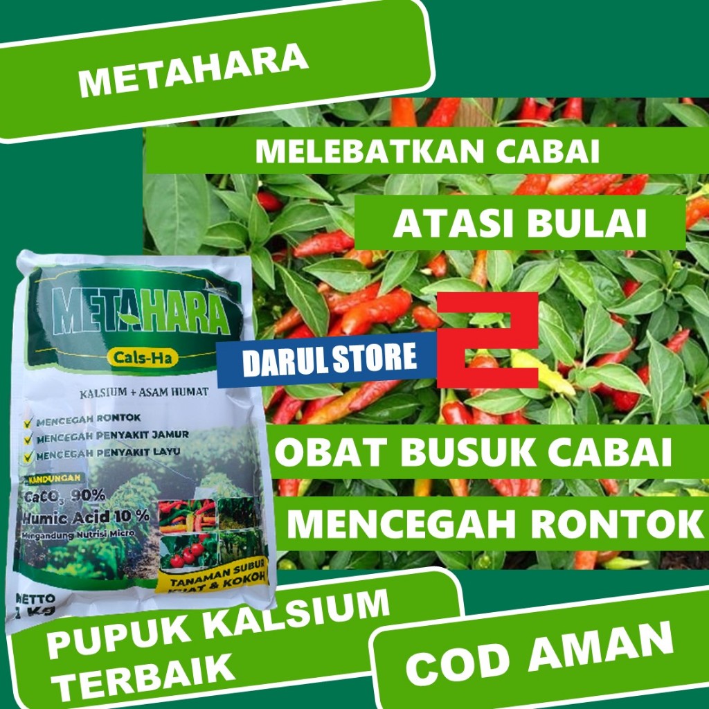 METAHARA PUPUK KALSIUM ATASI HAMA PATEK, LAYU, ANTRAKNOSA, BULAI, RONTOK PADA TANAMAN CABE DAN SEMUA