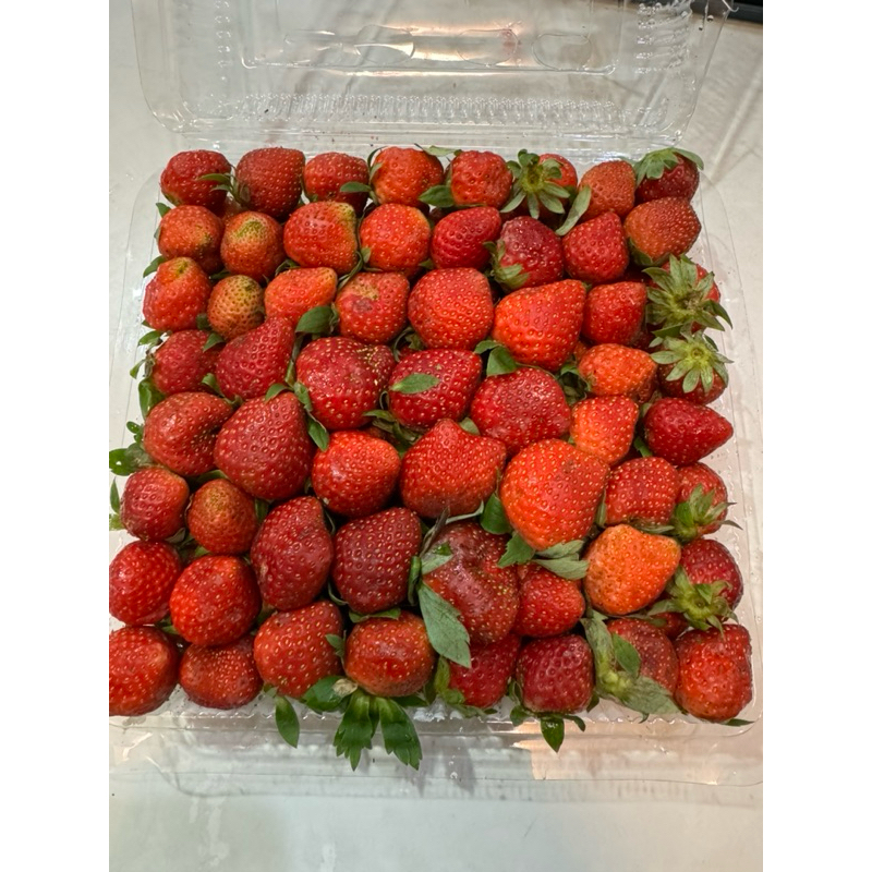 

Strawberry Fresh
