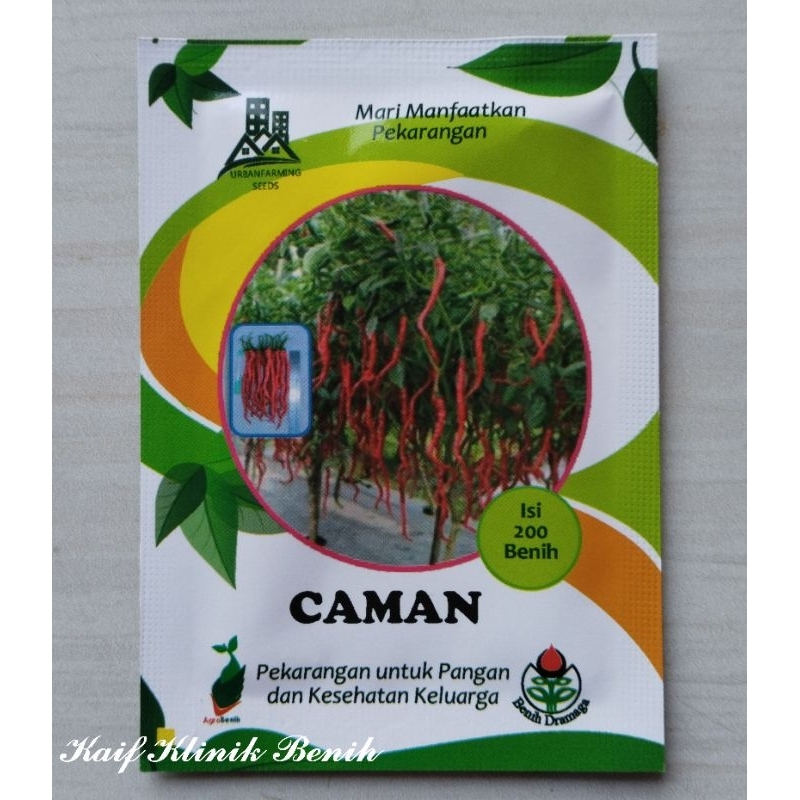 Benih Cabe Merah Keriting Caman Isi 200 Butir - Cabai Keriting Tipe Kopay Benih Dramaga