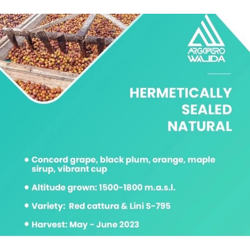 

Argopuro Hermatic Sealed LIMITED STOK 1kg