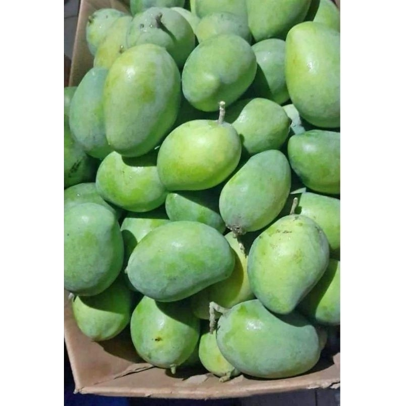 

MANGGA MUDA MANGA KAMPUNG RUJAK 500g