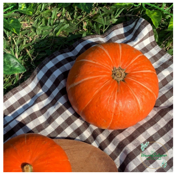 

Buah Kabocha Segar per butir Labu Jepang segar Buah MPASI