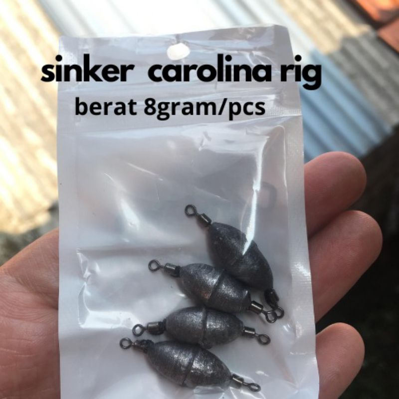 Sinker Carolina Rig