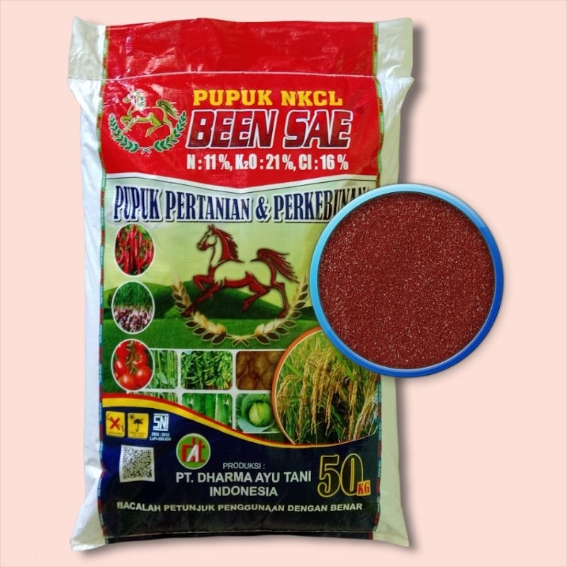 PUPUK NKCL KCL KUDA BEEN SAE ORIGINAL 50KG