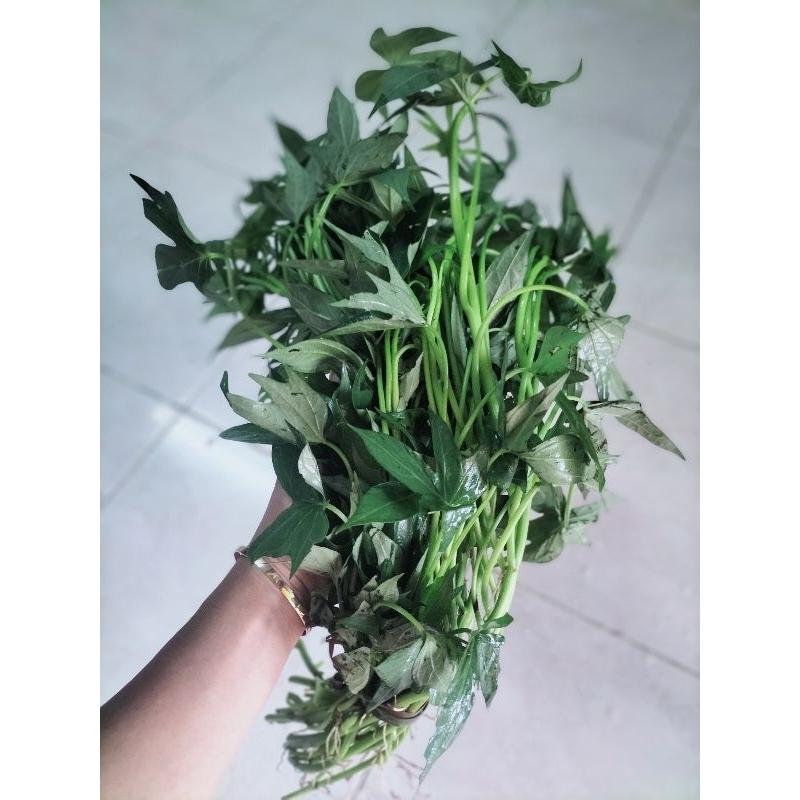 

SAYUR UBI JALAR (per ikat)