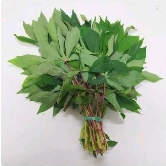 

Daun Singkong 1ikat Sayuran Solo Boyolali Sragen