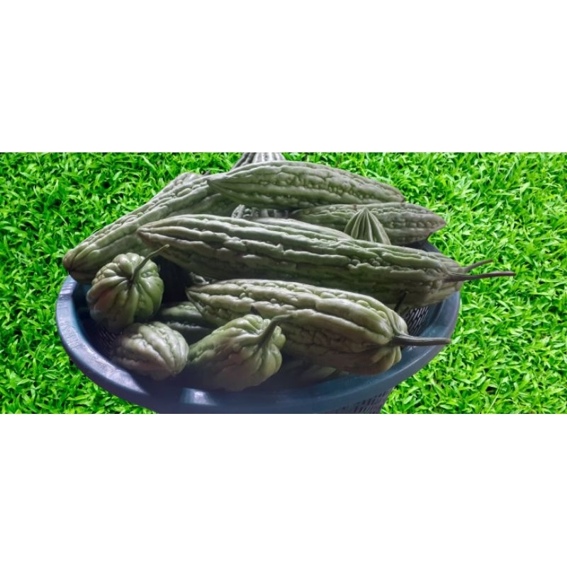 

buahparesegar(1kg)