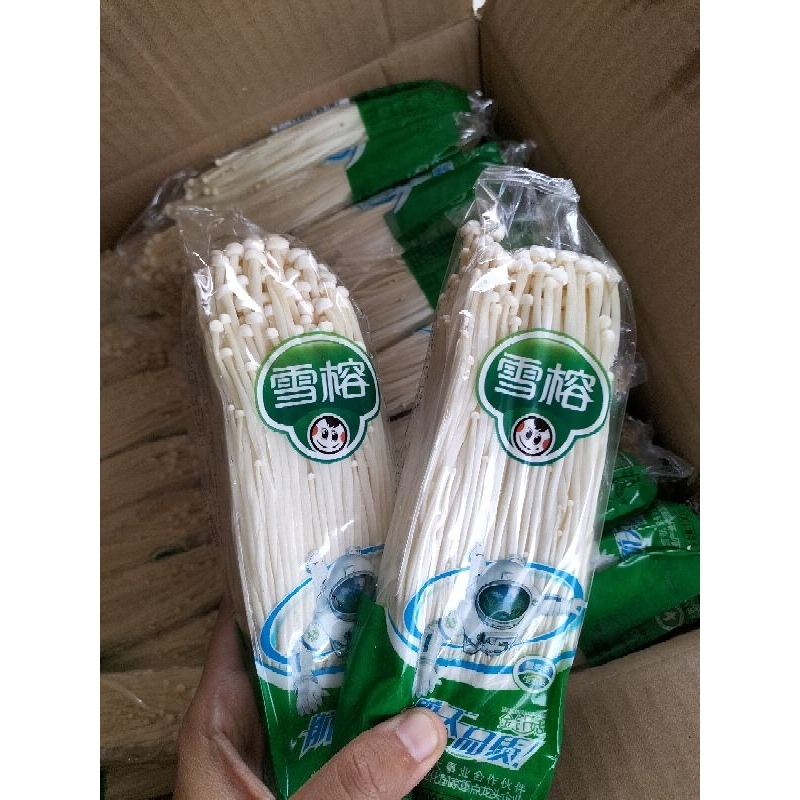 

jamur Enoki