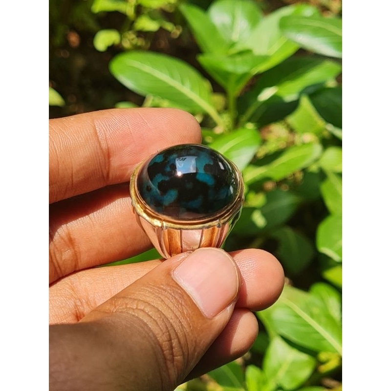 BACAN COKLAT TOTOL