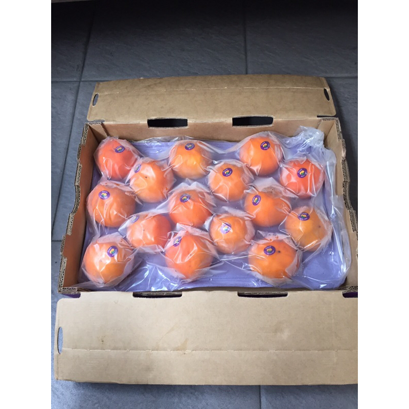 

Buah Persimmon / Kesemek Red Beef New Zealand (4 KG) Fresh Import