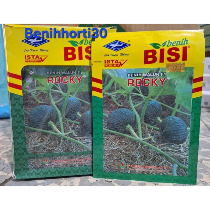 Benih Labu Kuning Hibrida Rocky isi 5 gram