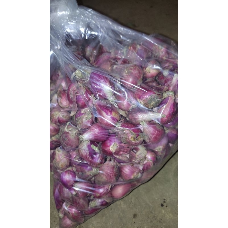 

BAWANG MERAH PILIHAN BAGUS KOK