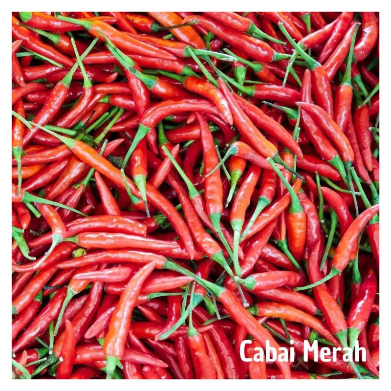 

Cabai merah keriting segar