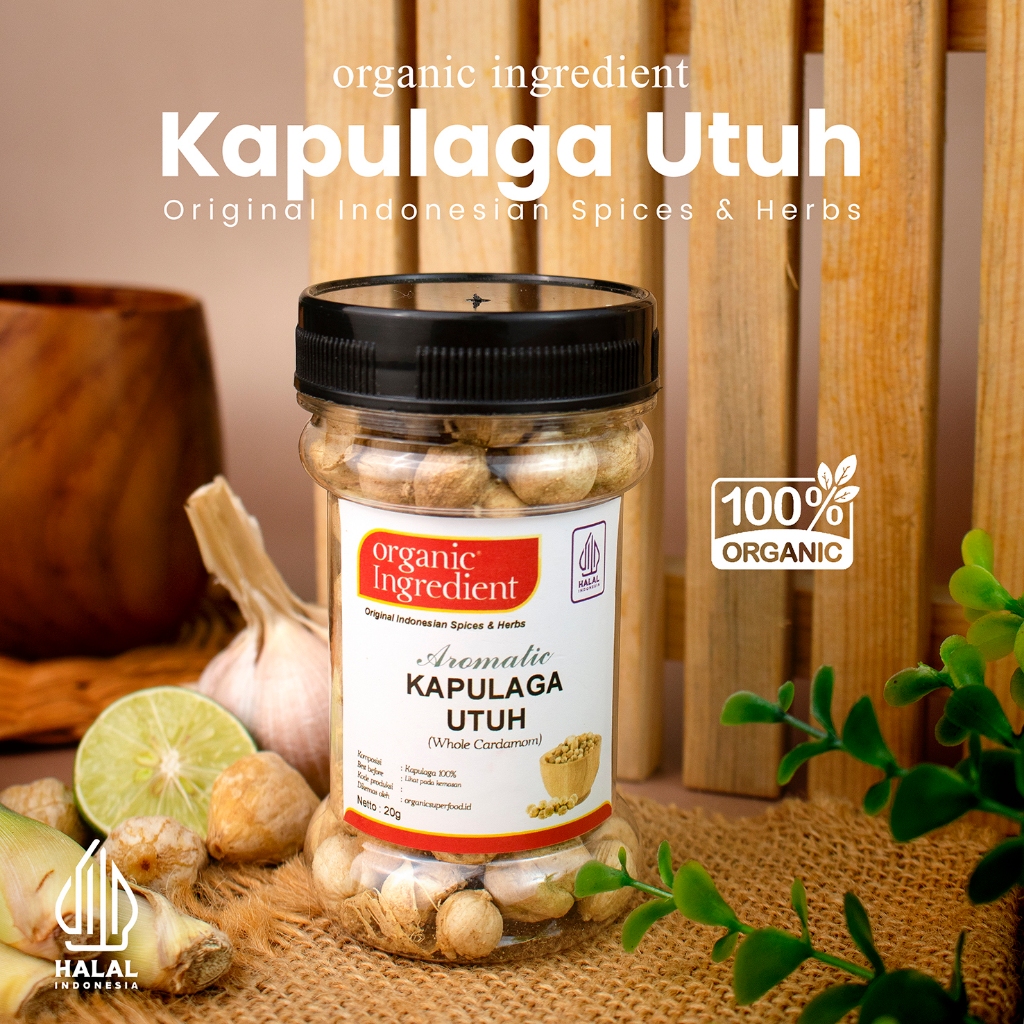 

Organic Ingredient Kapulaga Utuh Original Rempah Indonesia Bumbu Dapur