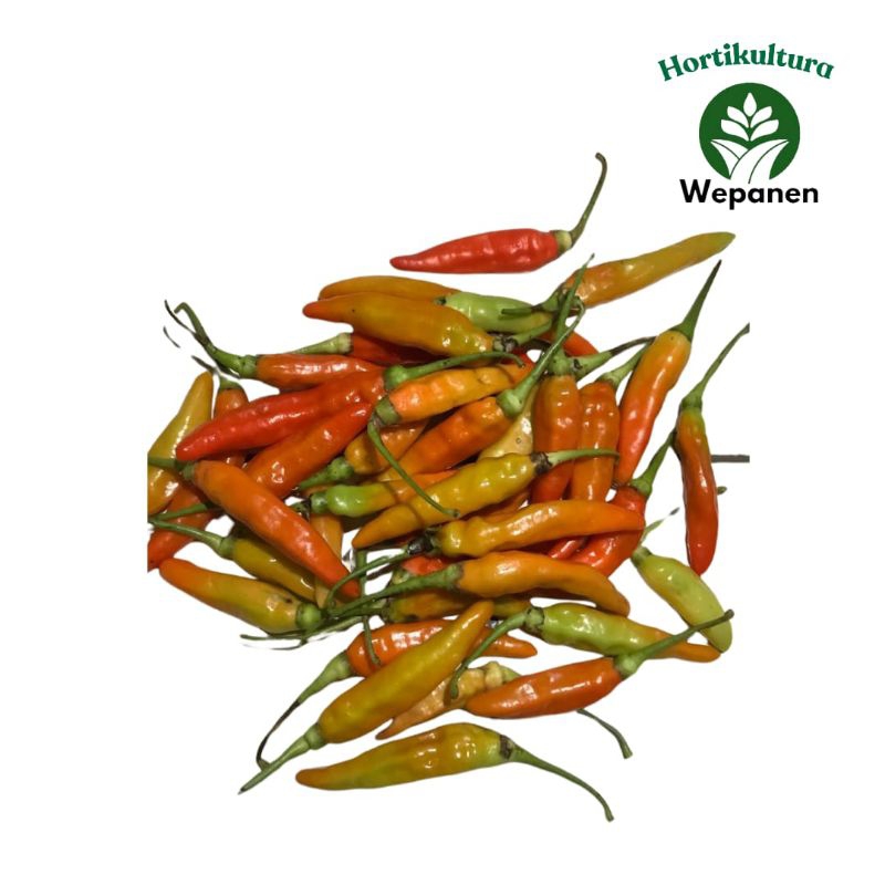 Cabai Rawit Merah 1kg