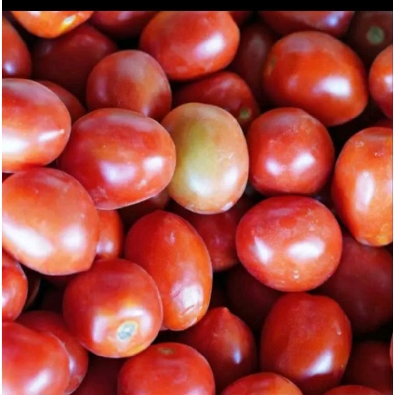 

TOMAT SEGAR / 250gram