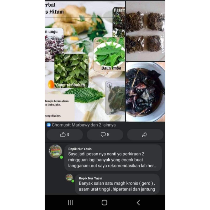 

Herbal alami klampis ireng