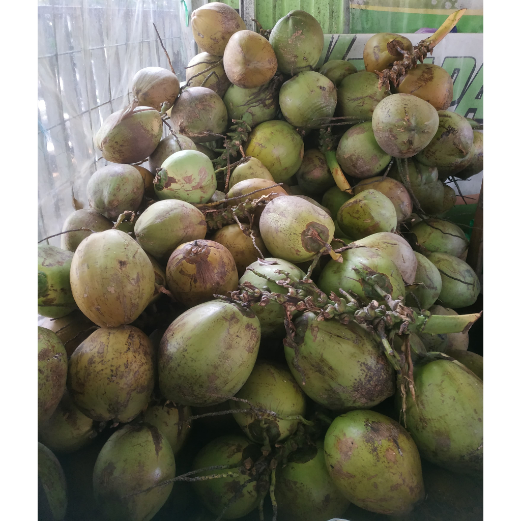 

KELAPA MUDA#DAWEUGAN