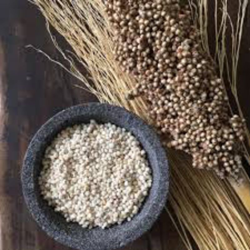 

BERAS SORGUM 500grm
