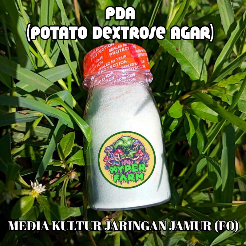 PDA media kultur jaringan jamur F0