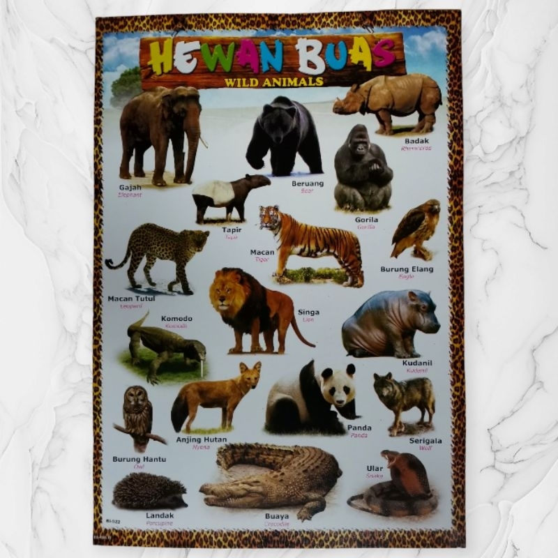 Poster Edukasi Hewan Buas