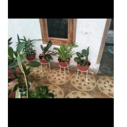 standing pot bunga simple/ standing pot bunga murah / standing pot 3 kaki