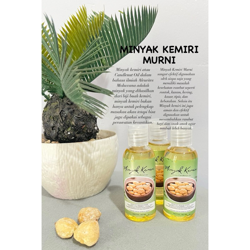 MINYAK KEMIRI MURNI 100% ORIGINAL TANPA CAMPURAN ( 60 ML )