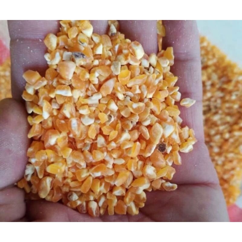 jagung ayam jagung pecah jagung super pakan ayam pakan burung 15kg