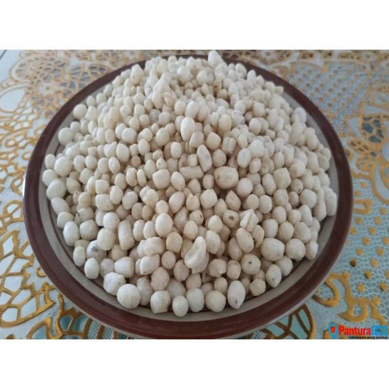 

PILUS TEGAL ASLI/PILUS 1 KG/PILUS/PILUS CIKUR