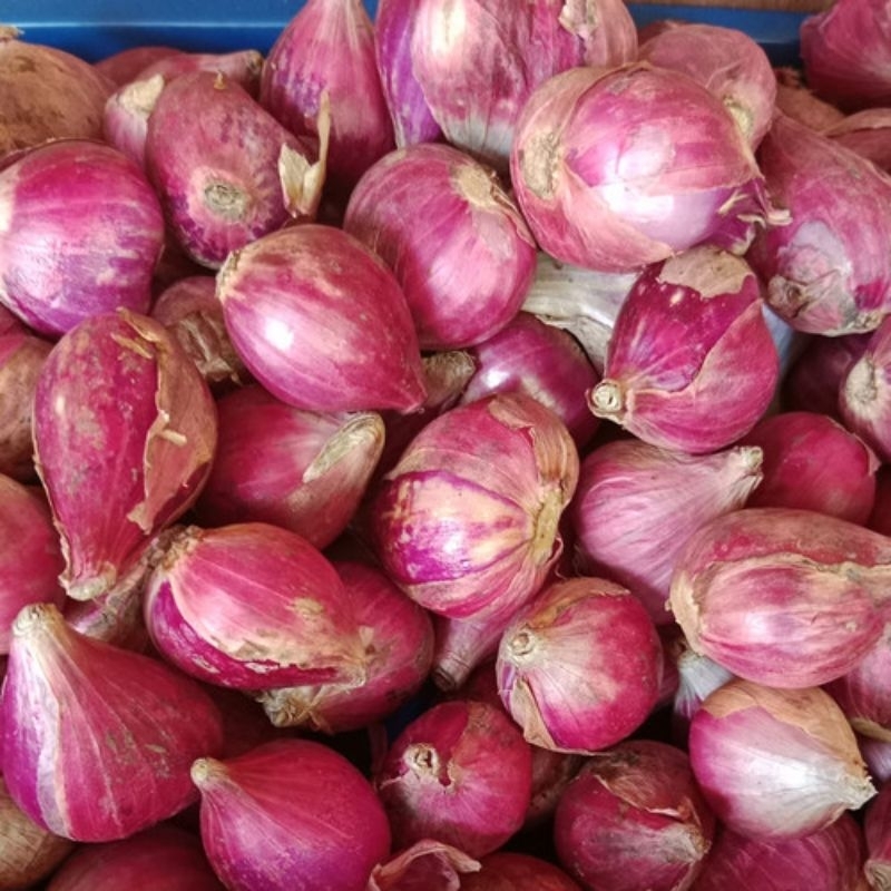 

bawang merah brebes